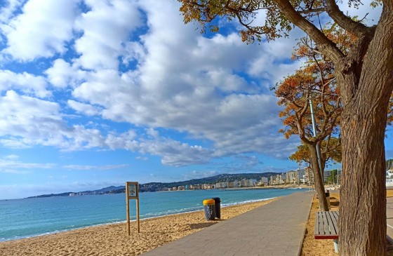 Resale - Penthouse - Palamos - Center