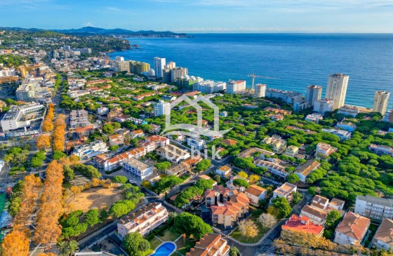 Resale - Apartment - Platja d'Aro - Centro