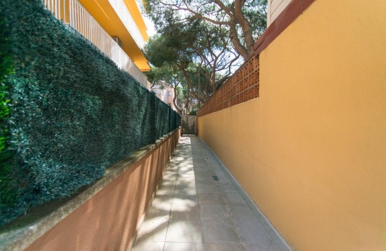 Revenda - Apartament - Platja d'Aro - Centro
