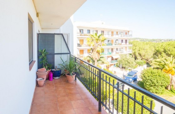 Revenda - Apartament - Sant Antoni De Calonge