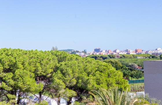 Revenda - Apartament - Sant Antoni De Calonge