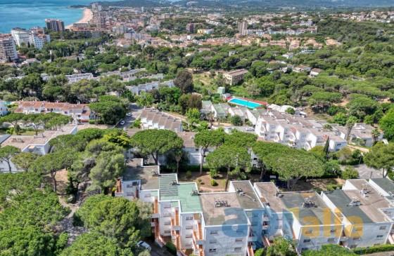 Revenda - Apartament - Platja d'Aro - Politur