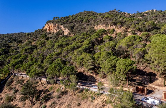 Obra Nova - Terreny - Sant Feliu De Guixols - Primera linia de mar