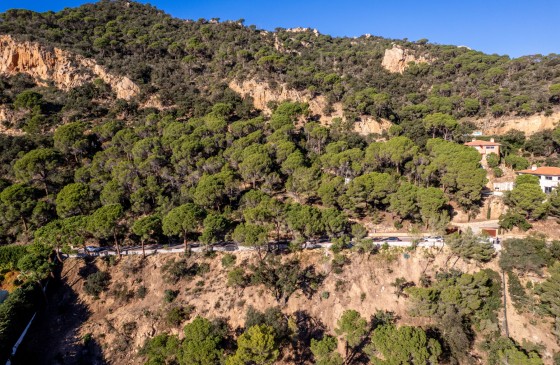 Obra Nova - Terreny - Sant Feliu De Guixols - Primera linia de mar