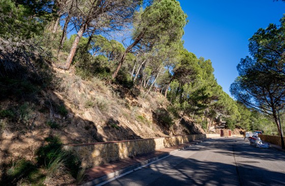 Obra Nova - Terreny - Sant Feliu De Guixols - Primera linia de mar