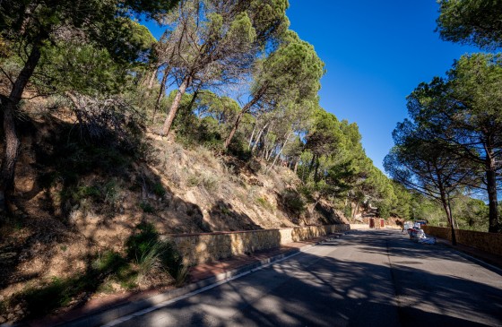 Obra Nova - Terreny - Sant Feliu De Guixols - Primera linia de mar