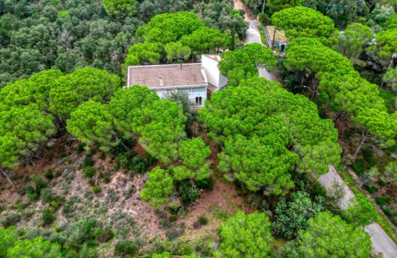 Revenda - Casa - Santa Cristina d'Aro - Santa Cristina D'aro