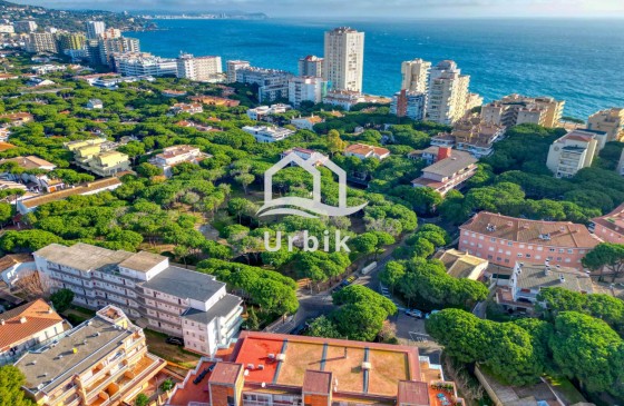 Segunda Mano - Apartamento - Playa de Aro - La Pineda